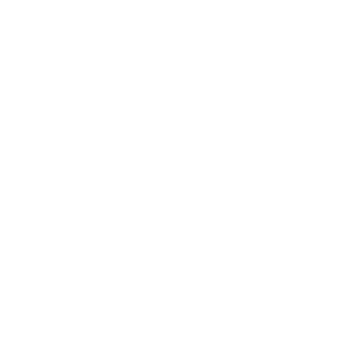 Icône température
