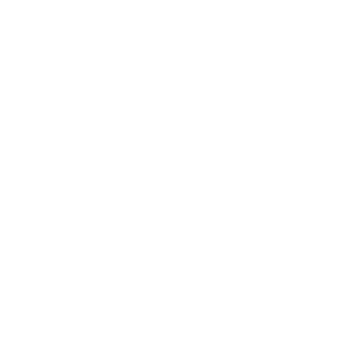 Icône soleil